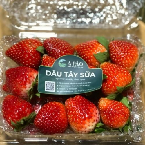 Dâu Tây Sữa A Páo sz M – 1kg