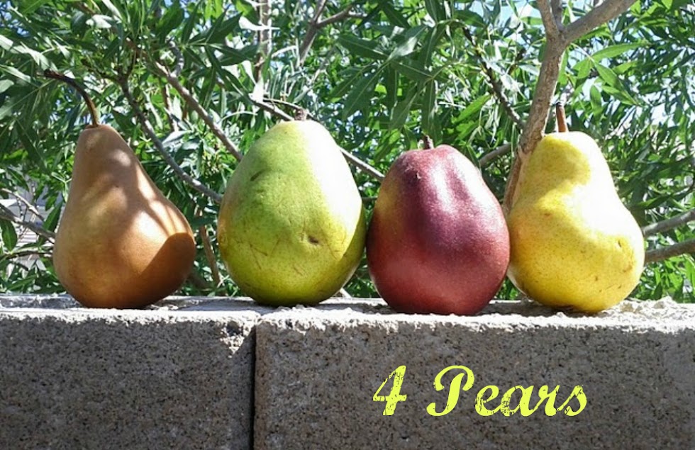 4 Pears