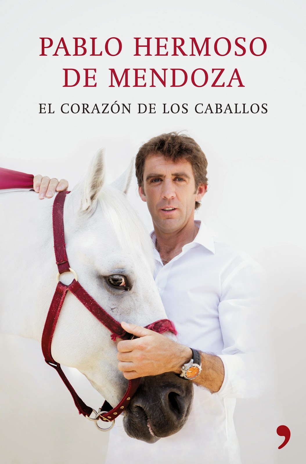 LA MIRADA ACTUAL Pablo Hermoso de Mendoza, rejoneador, autor del libro