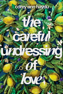 The Careful Undressing of Love by Corey Ann Haydu