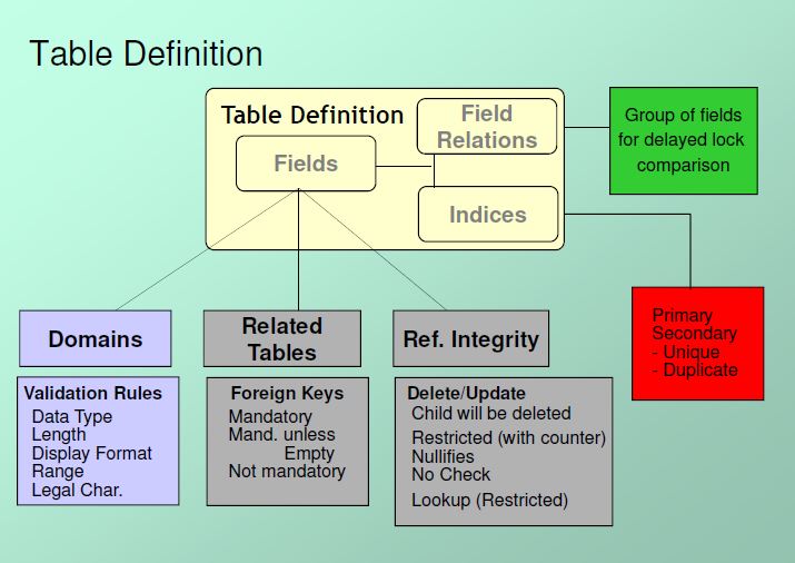 Full on Baan Table Definition