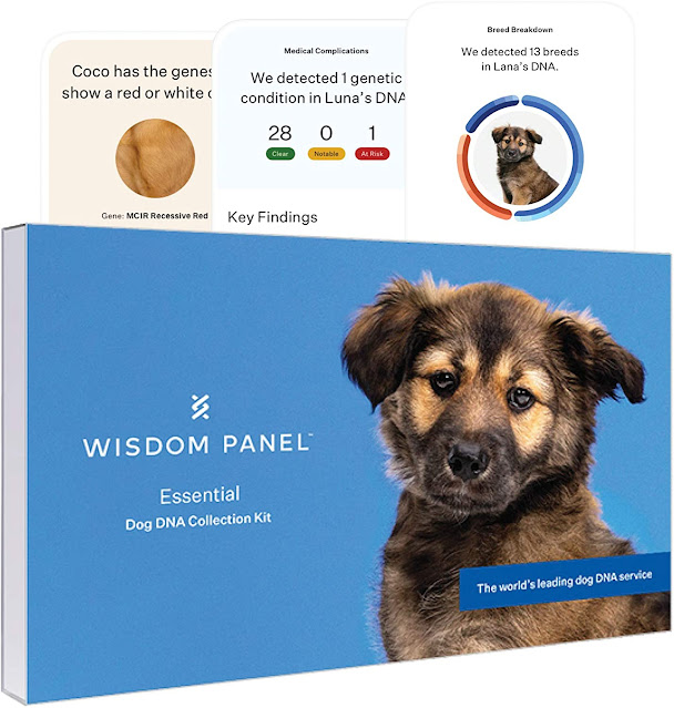 DNA My Dog Breed Identification Test Kit