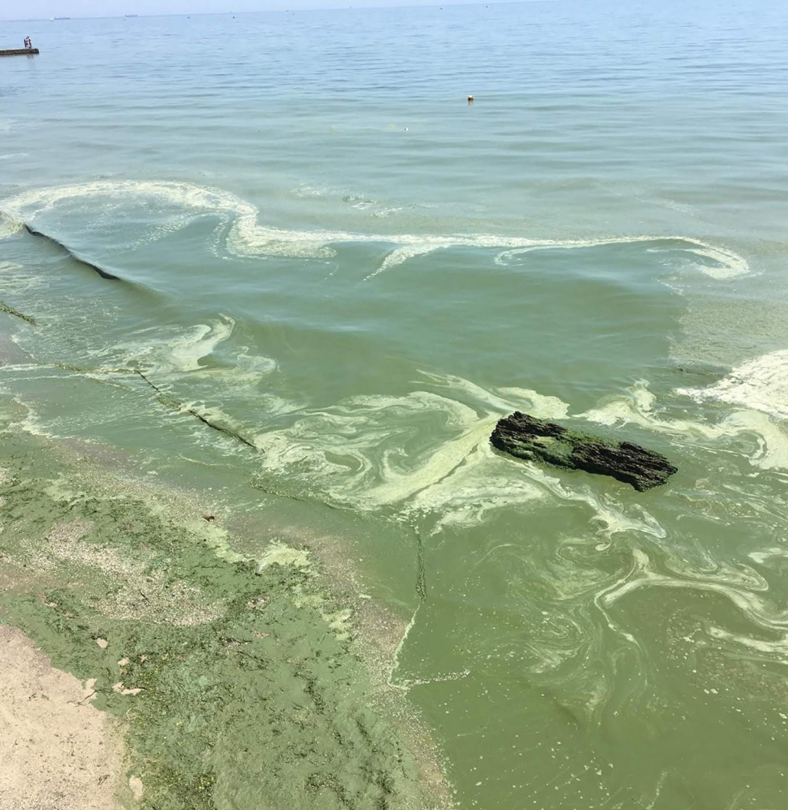 Что происходит без воды