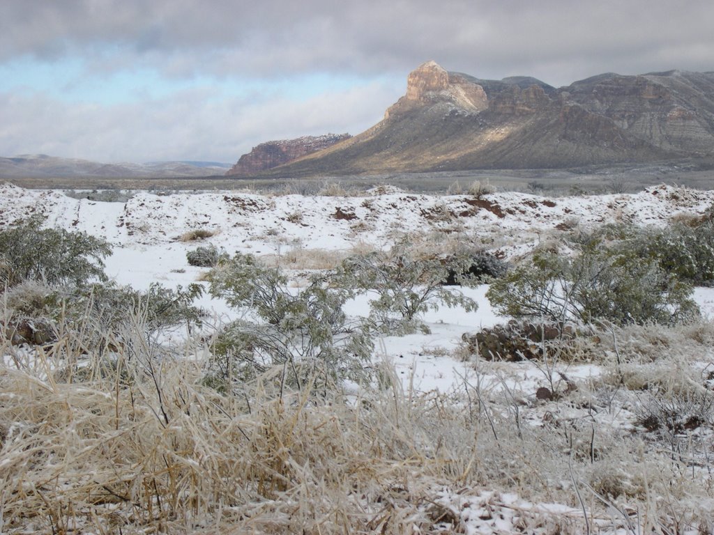 Texas Mountain Trail Daily Photo: Saluting the Hospitality Heroes of