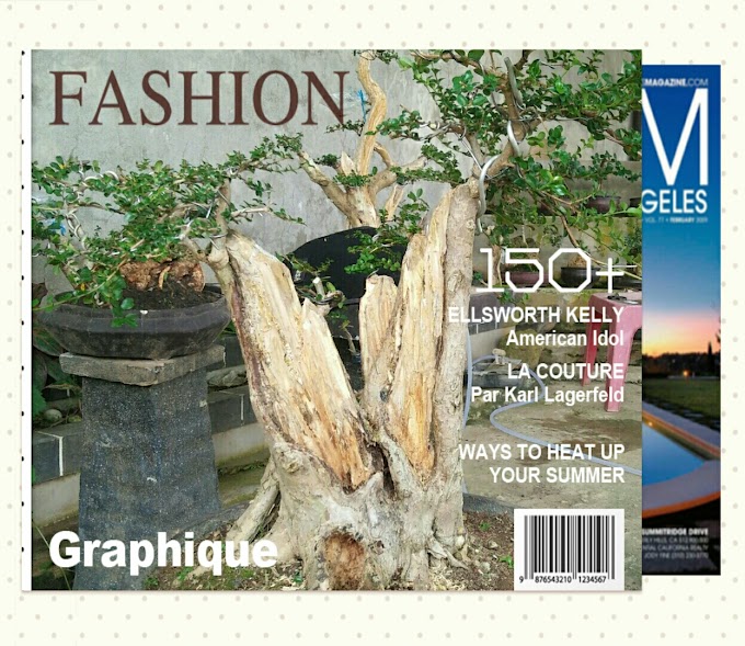 TIPS & TRICK MEMBUAT OBAT PENGAWET KAYU MATI BONSAI