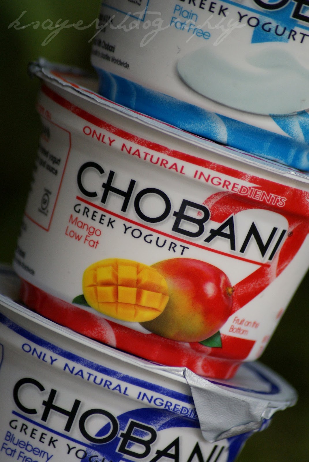 Southern In Law Saturday Spotlight Chobani Greek Yogurt