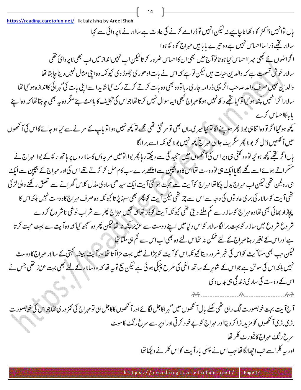 areej shah novel