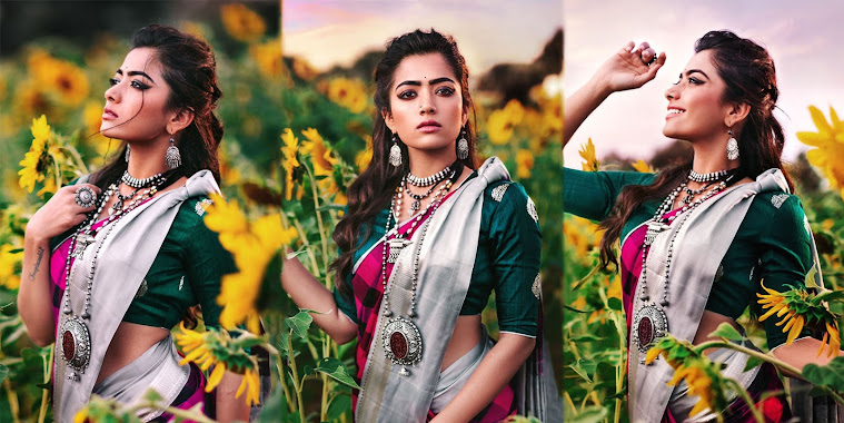 Rashmika Mandanna Photos In Sunflower Field