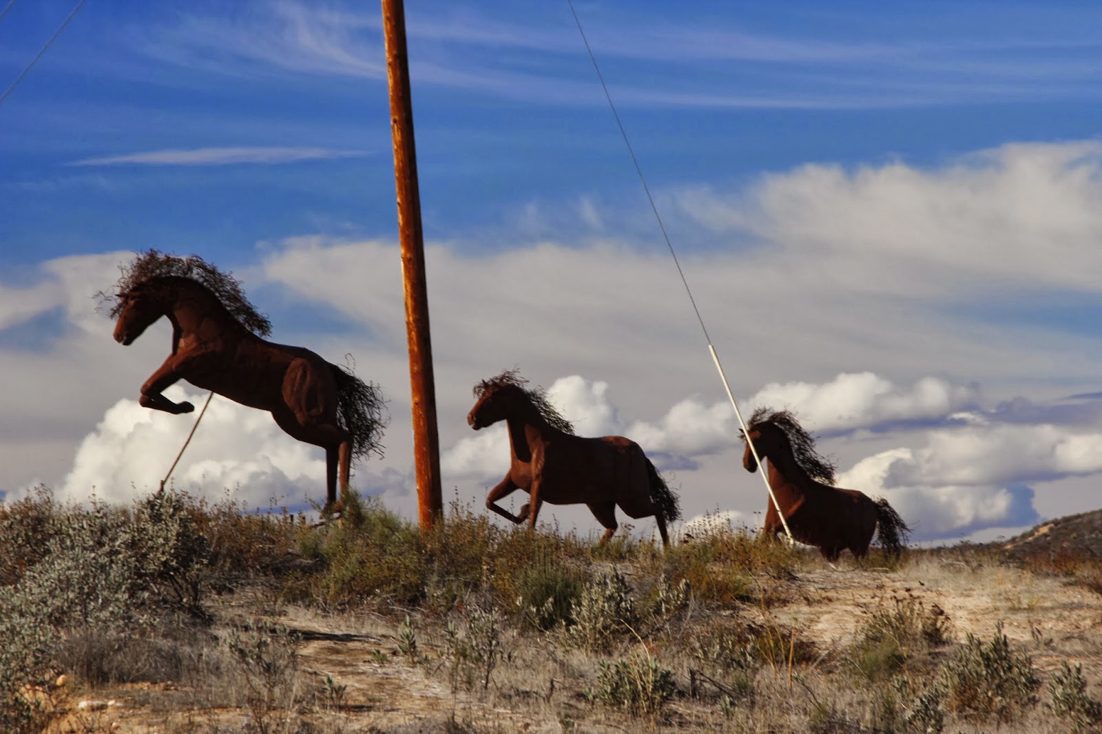 Deserts and Beyond Temecula metal horses