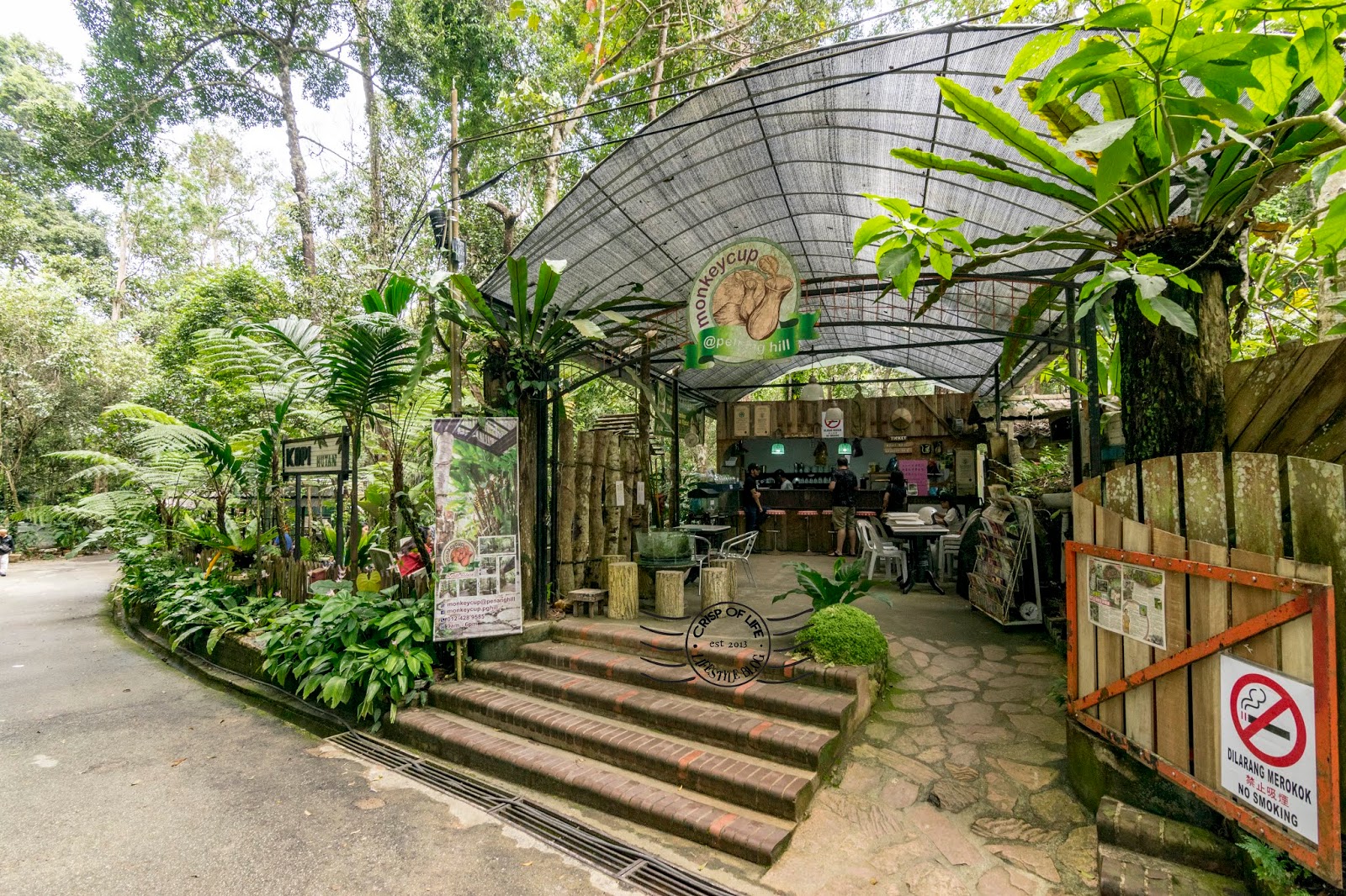 The Cafe in the Highest Point of Penang Kopi Hutan Monkey Cup Cafe