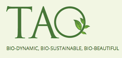 Sweet and Modern: Rave Review: Tao Skin Care