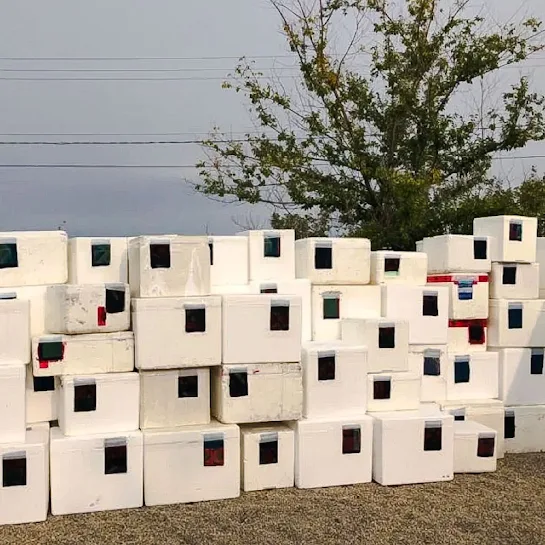 Polystyrene cooling boxes modified to be used as homes for feral cats