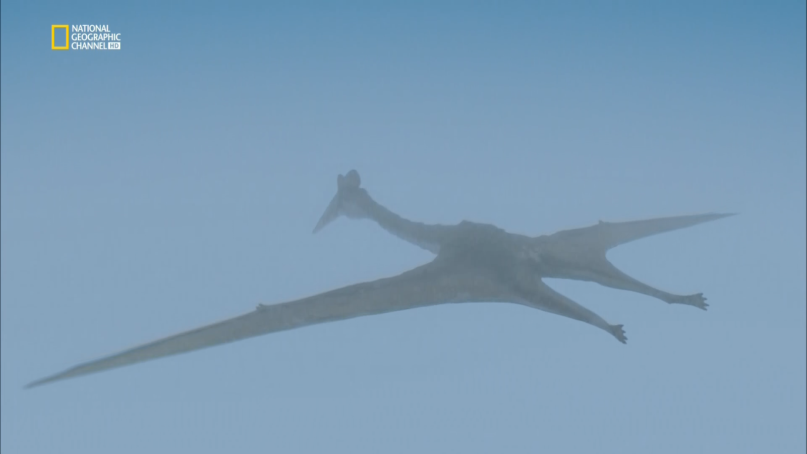 aavc Top 10 Biggest Beasts Ever (2015)