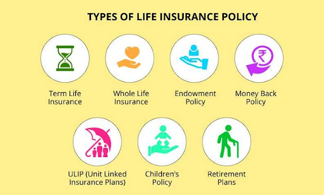 Types of the life insurance policy