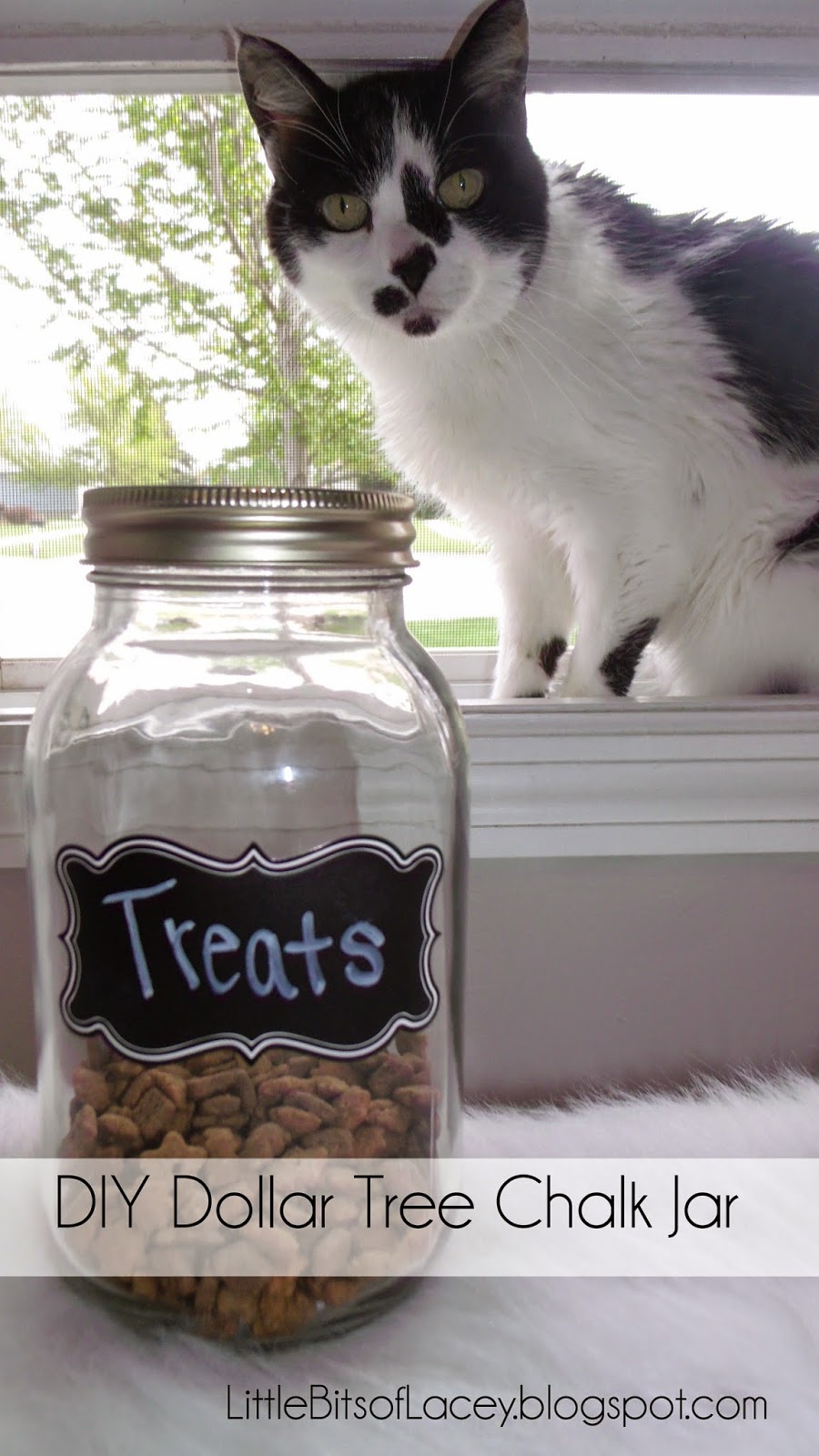 Little Bits of Lacey: DIY Dollar Tree Chalkboard Jar