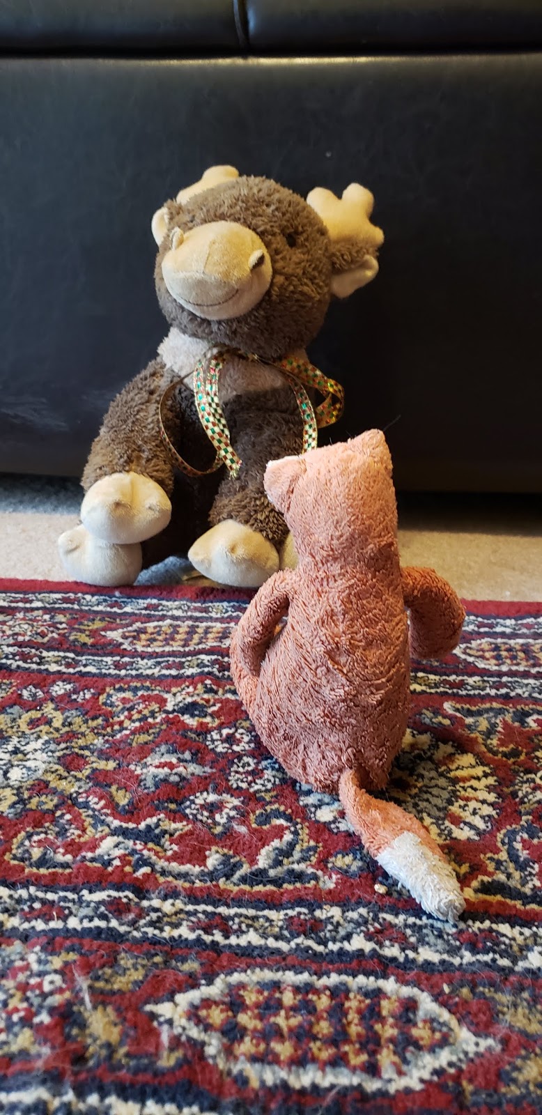 Little Fox's Blog What is going on with Drunk Fox? Post 2