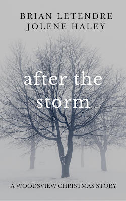 After the Storm (A Woodsview Xmas Story)