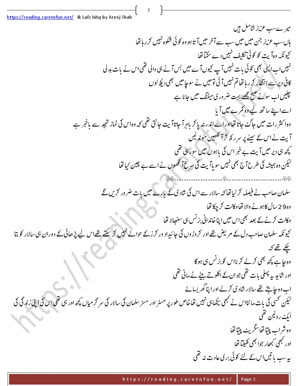 areej shah novel