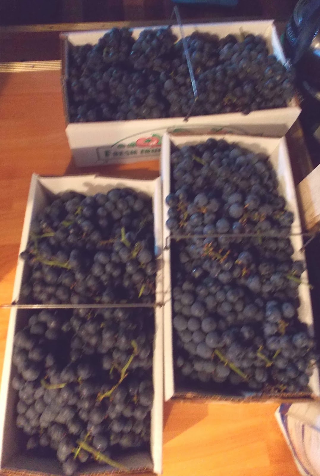 The Farmhouse in the Field Jenny's Homefront Strategy Peggy C's Grape