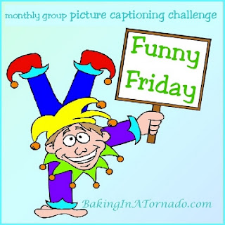 Funny Friday:a multi-blogger challenge: one picture, five captions,  | developed and run by www.BakingInATornado.com | #MyGraphics