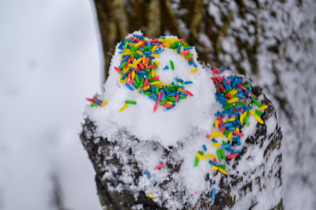 ПРОГУЛКА ДОБРЫЕ ДЕЛА