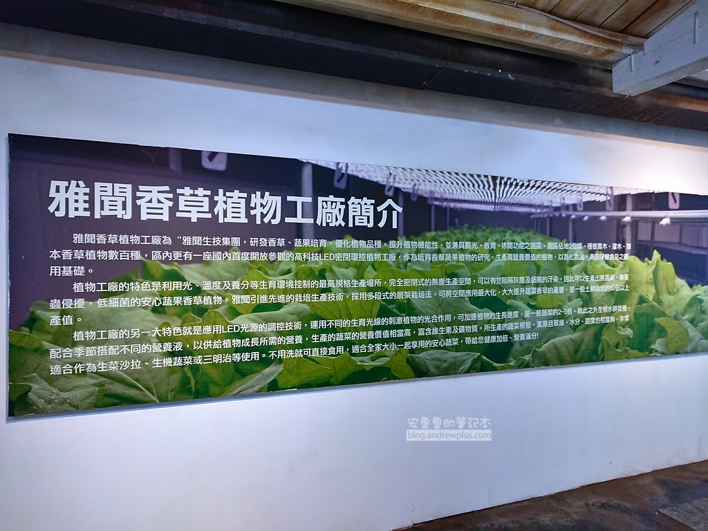 苗栗景點,三義好玩景點,雅聞香草植物工廠門票