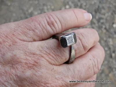 prairie diamond ring at Empire Mine State Historic Park in Grass Valley, California