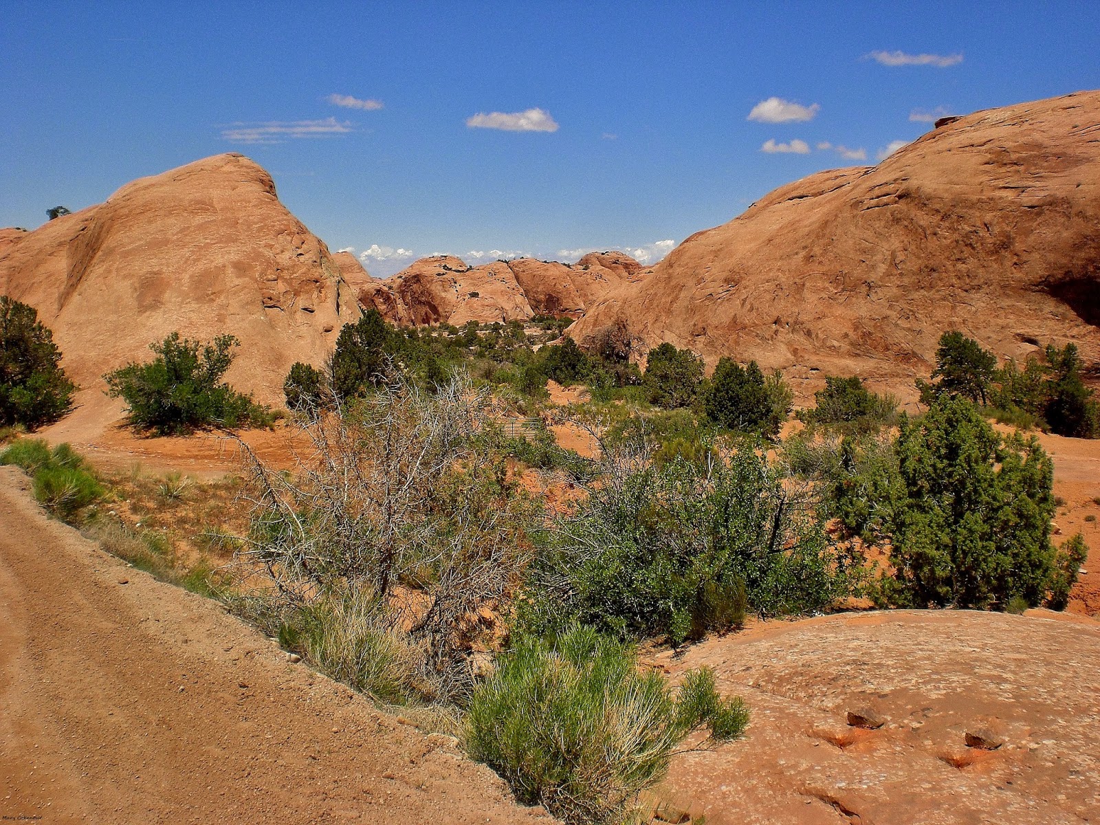 The Southwest Through Wide Brown Eyes Only Thing Flat in Sand Flats is