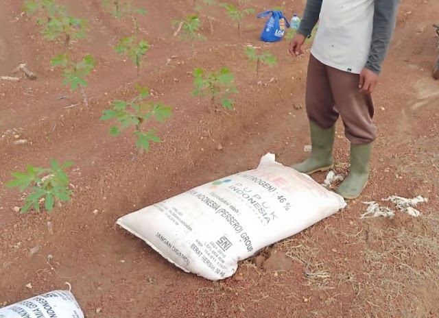 Diduga,PT.Golden Navara "bebas" menggunakan pupuk bersubsidi karena dilindungi oleh oknum Komisi II anggota DPRD Kabupaten lampung tengah