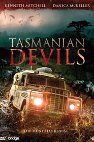 Tasmanian Devils 2013 Tasmanian Devils 2013