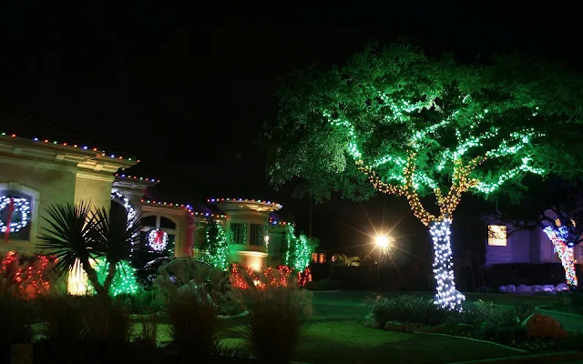 Tuin met prachtige kerstverlichting