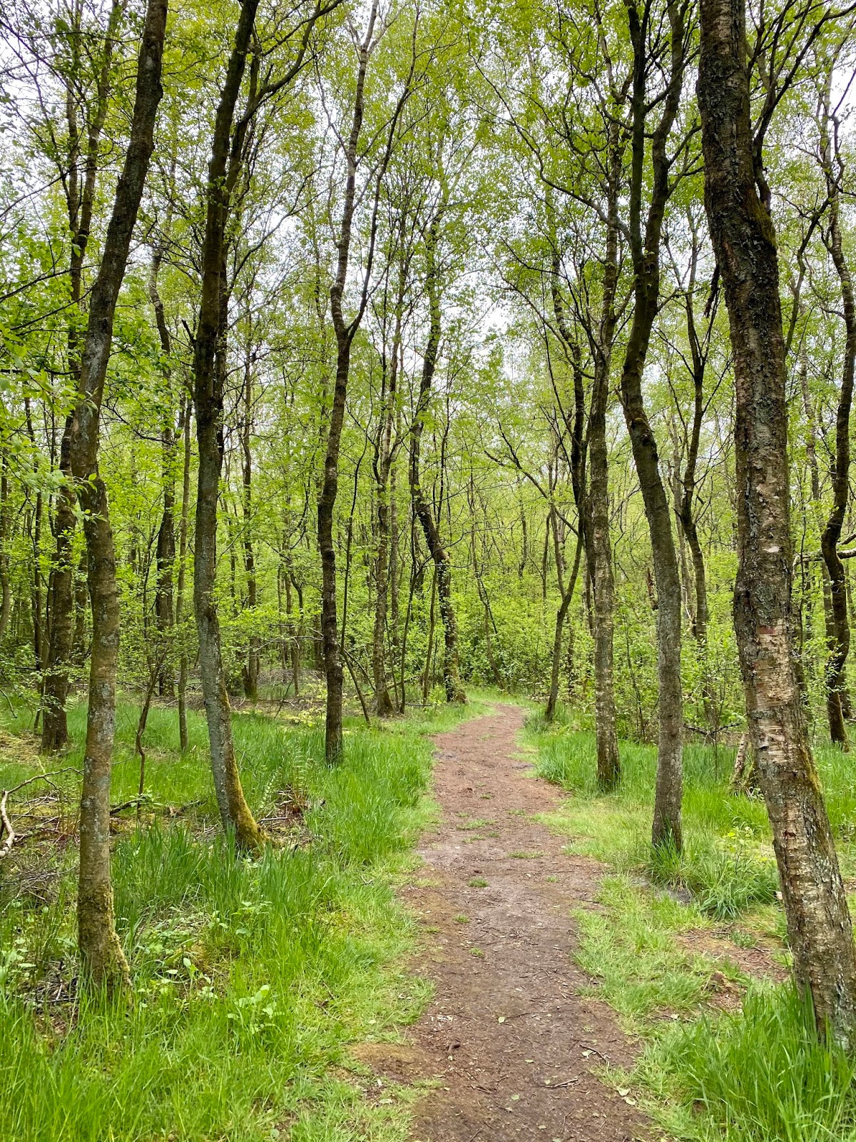 Http Www Lorenzpotthast De Downloads The Digital Screenization Of Physical Environments Lorenz Potthast Final Pdf