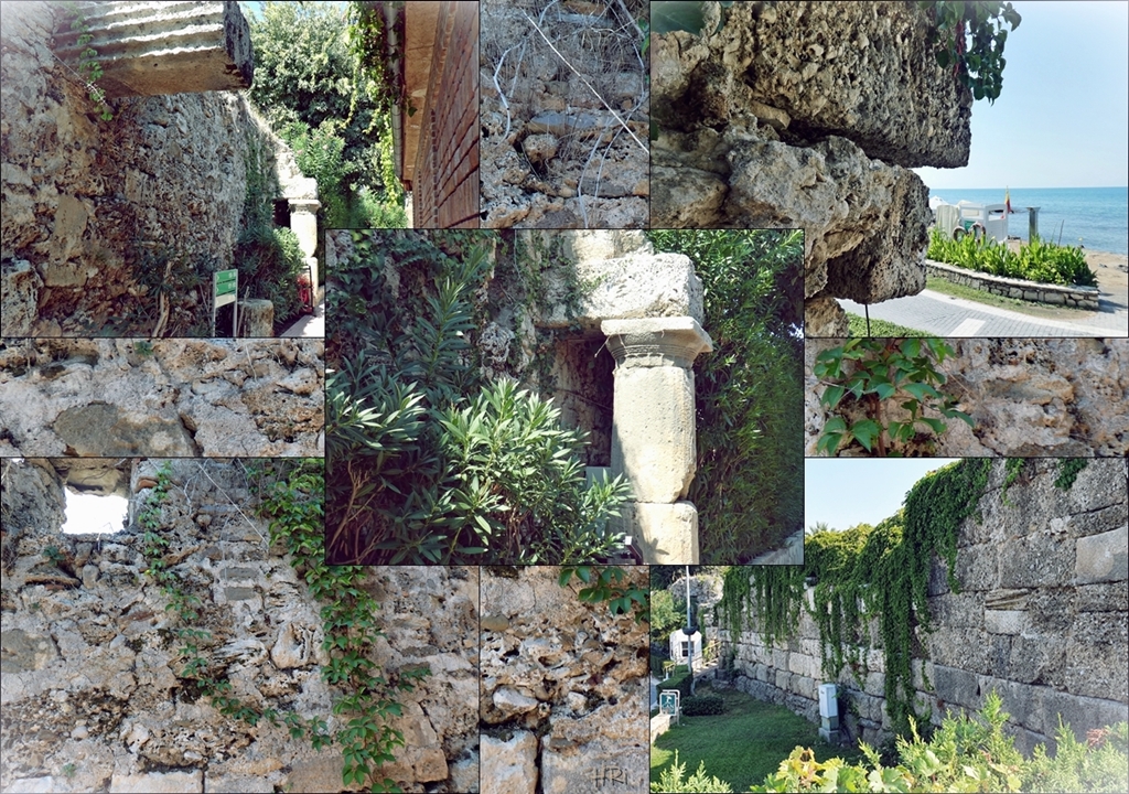 Zaunwickenwelt Uberreste Antiker