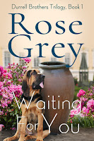 Cover: Waiting for You by Rose Grey Durrell Brothers Trilogy, Book 1