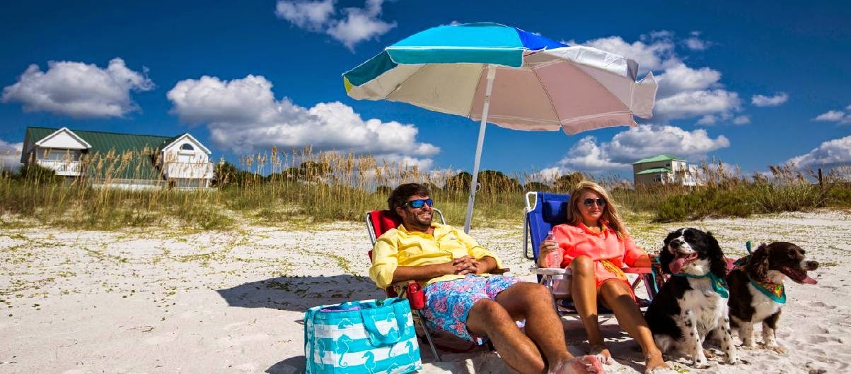 Pet Friendly Beaches in Gulf County Florida