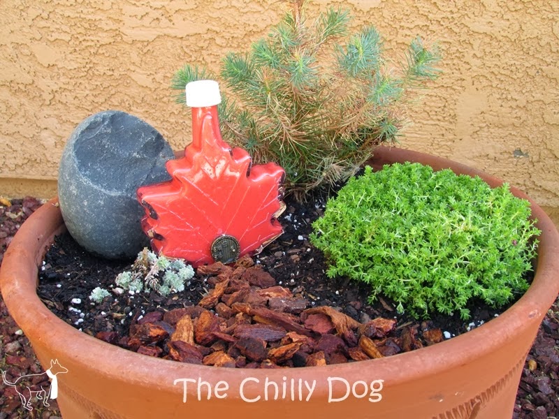 http://www.thechillydog.com/2014/03/craft-and-garden-tutorial-how-to-make.html