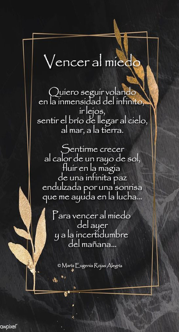Ver las imágenes de origen