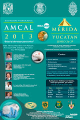 Pagina del Congreso Internacional AMCAL 2013