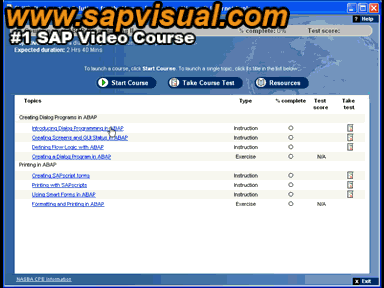 [www.sapvisual.com -  SAP Video Training preview]