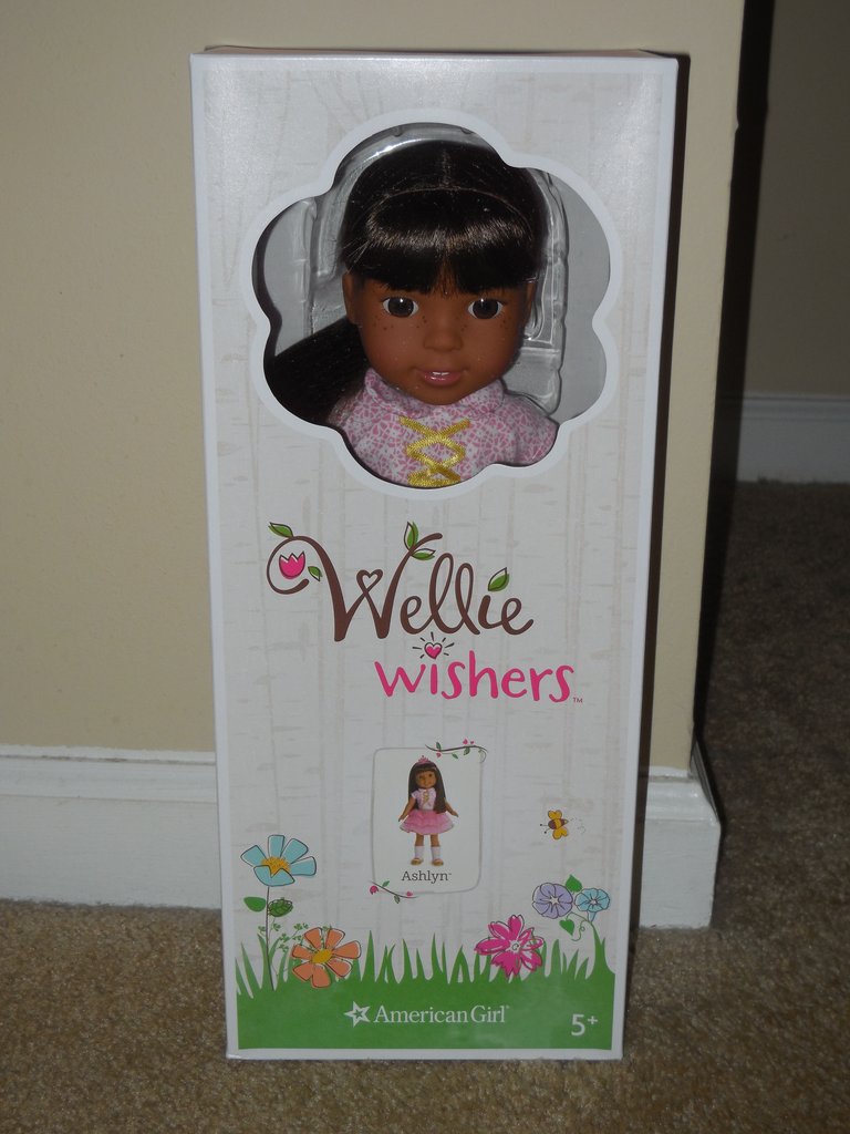 ashlyn american girl doll accessories