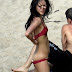 Zhang Ziyi | Topless Beach Bikini Photo