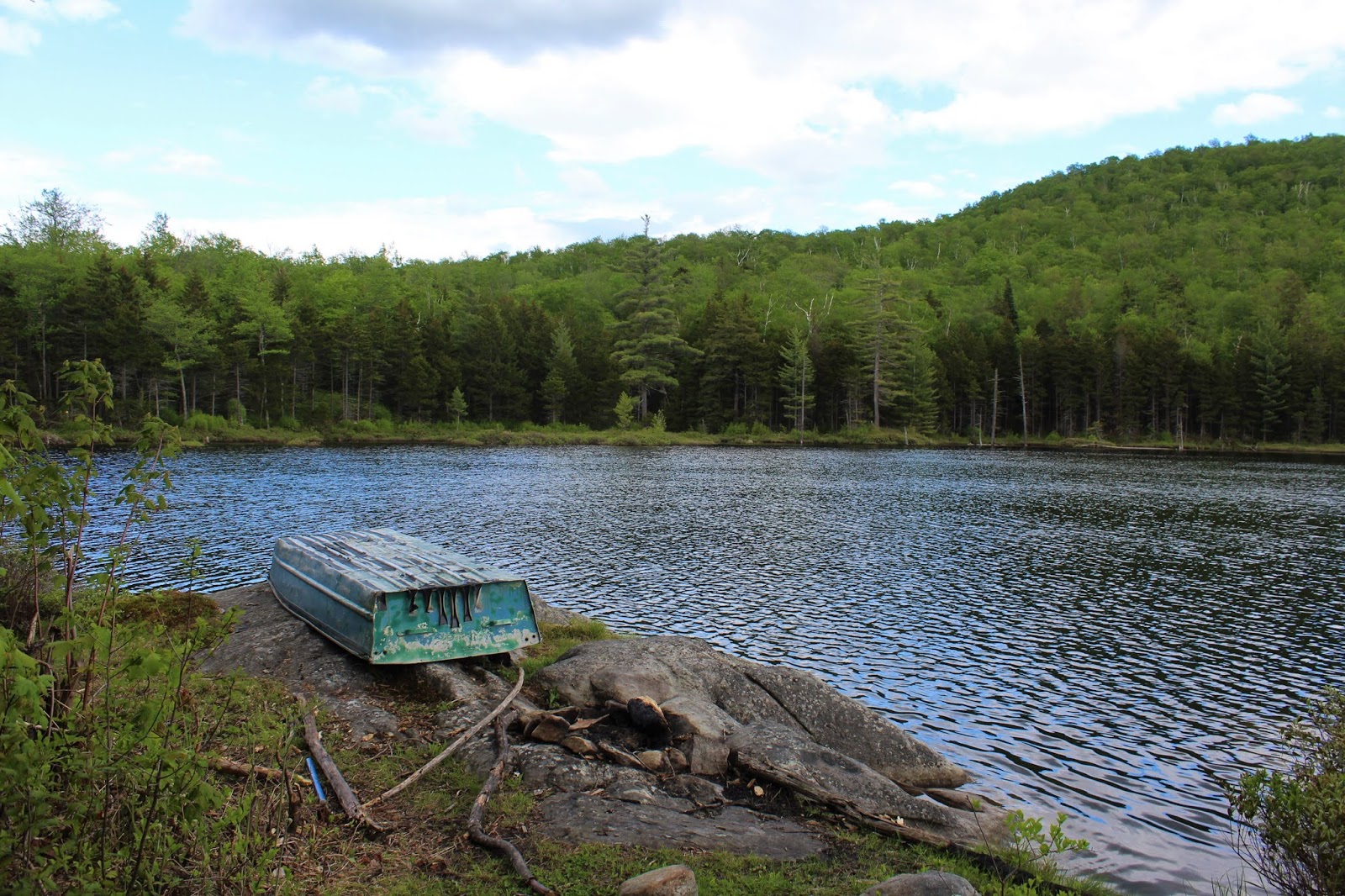 Walking Man 24 7 Eagle Pond & Eagle Pond Ledges(Wilcox Lake Wild