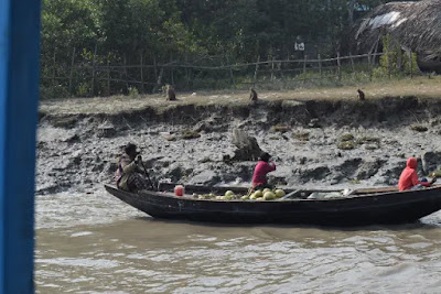 Sundarbans Harbaria from Mongla | Beautiful river 12 photos 8 Monkeys and people looking at each other