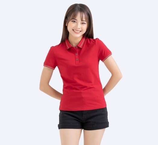 Mẫu áo thun cổ bẻ may bằng vải cotton cao cấp