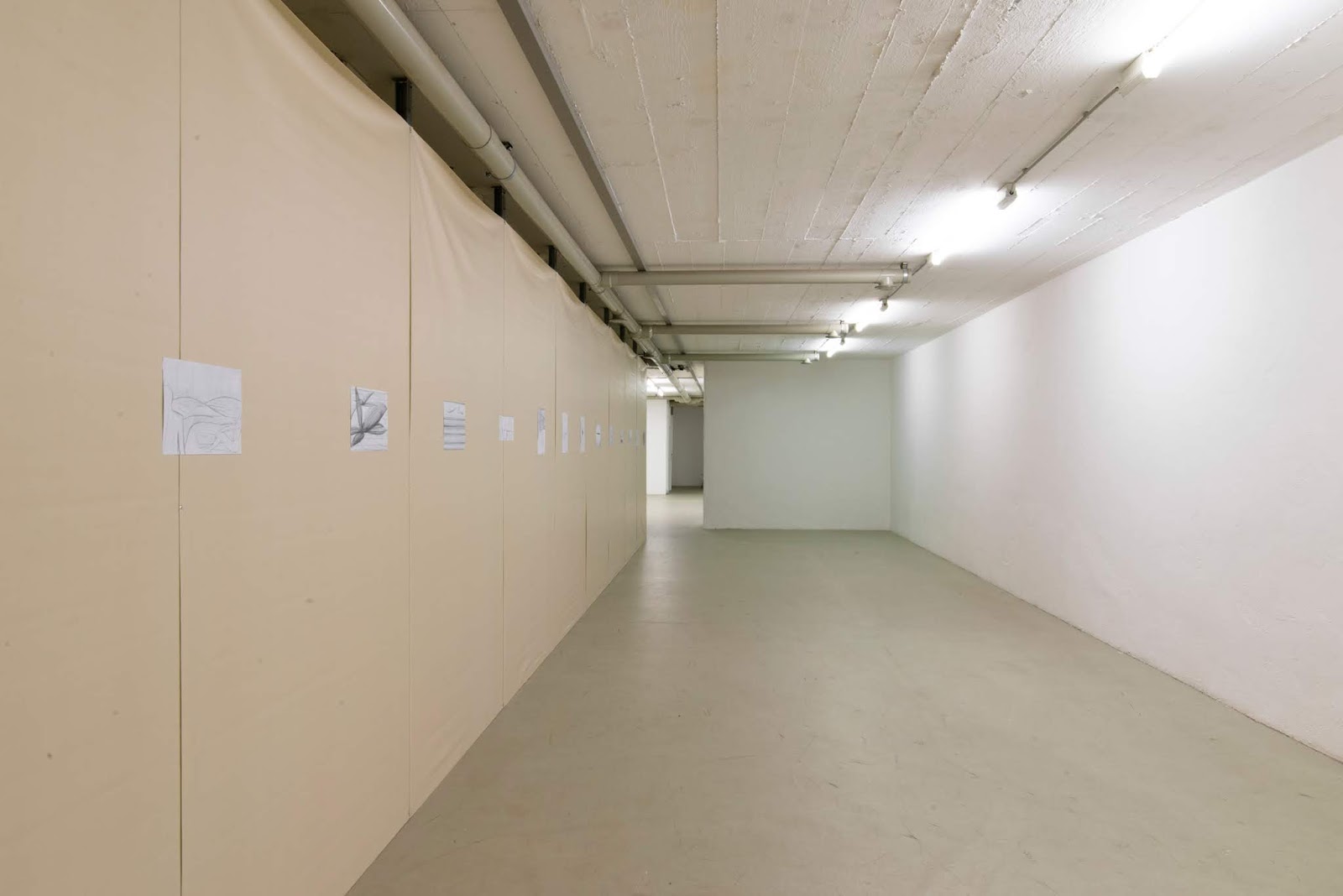 Dekogeweih Com Individuelle Dekogeweih Kunst