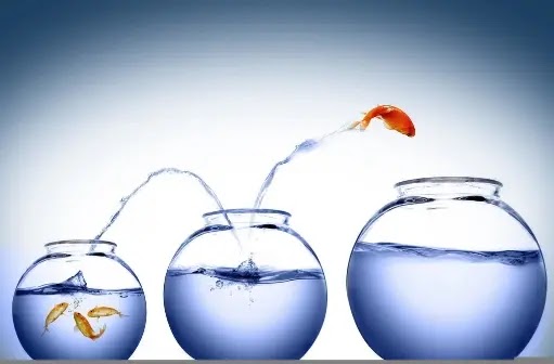 how to be successful - How to be successful every day how to be successful - How to be successful every day