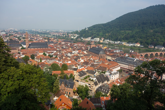 Mainz 05 2016 Fastnachtstrikot Released Footy Headlines