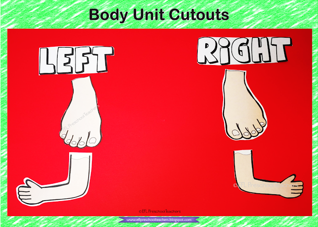 Teaching ideas for the Body unit