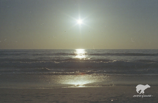 Venice Beach, CA.