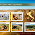 Tesori Parco Nazionale Alta Murgia in cinque francobolli, Paolicelli: “Orgoglio non solo pugliese. Prossimo obiettivo: entrare nella rete geoparchi Unesco” 